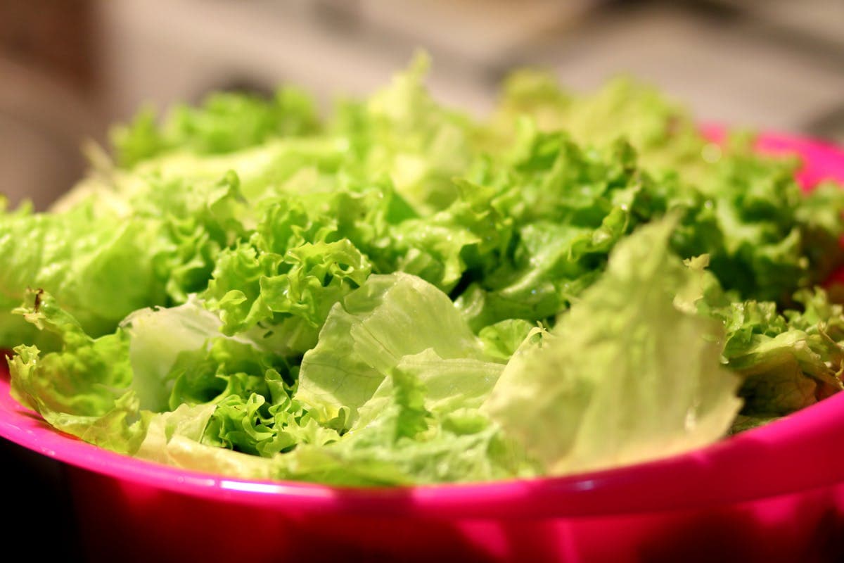 Fresh crisp Romaine lettuce leaves in a vibrant bowl