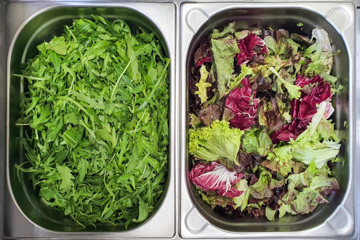 Trays of fresh arugula and mixed lettuce spring mix