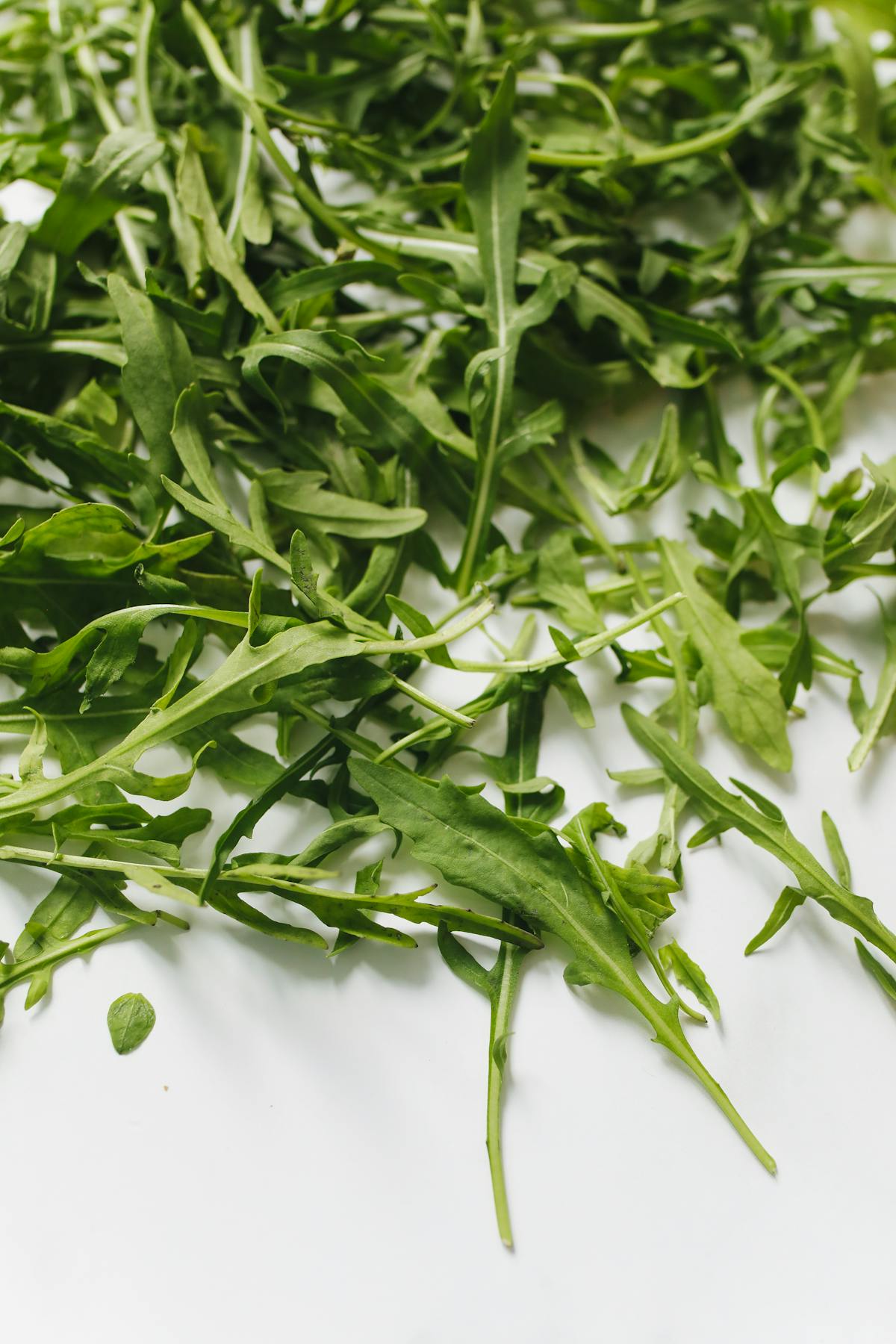 Fresh arugula rocket leaves on a white surface